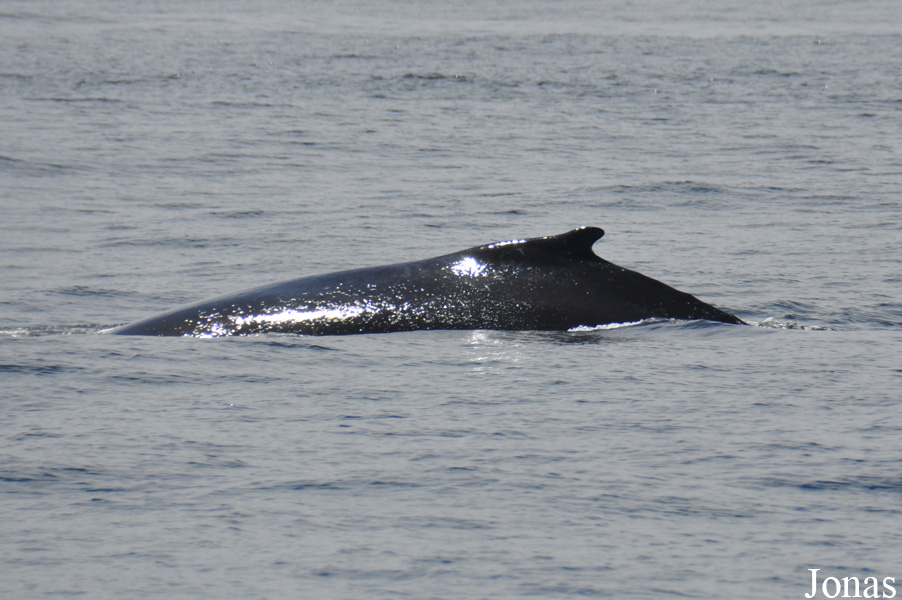 Monterey Bay
