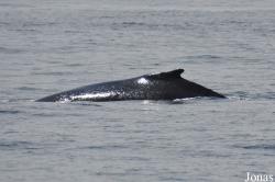 Monterey Bay