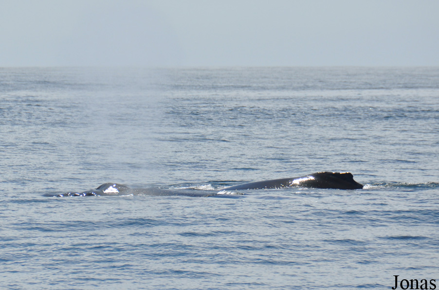 Monterey Bay