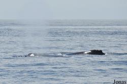 Monterey Bay