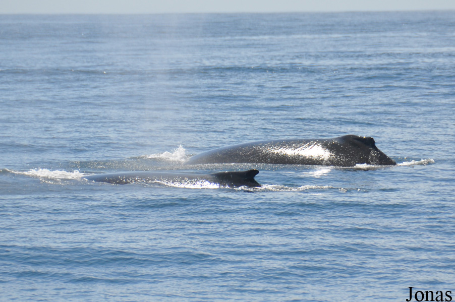Monterey Bay
