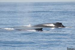 Monterey Bay