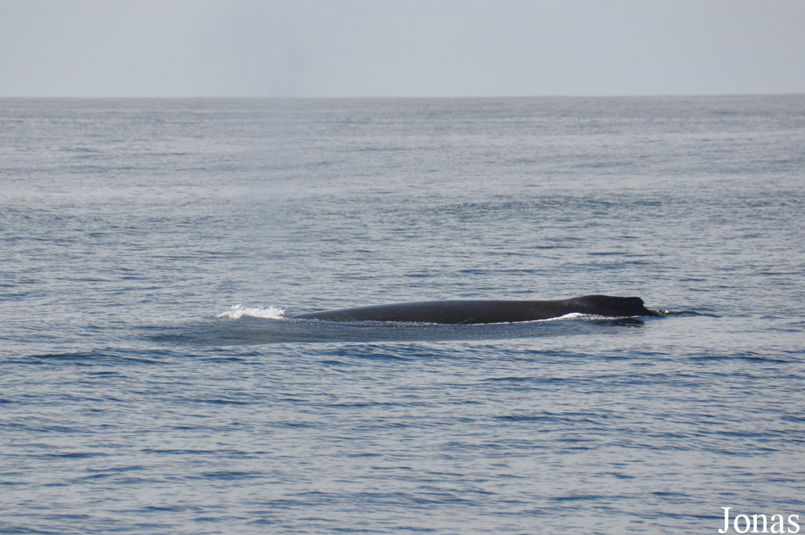 Monterey Bay