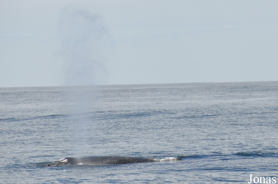 Monterey Bay