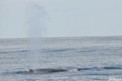 Monterey Bay