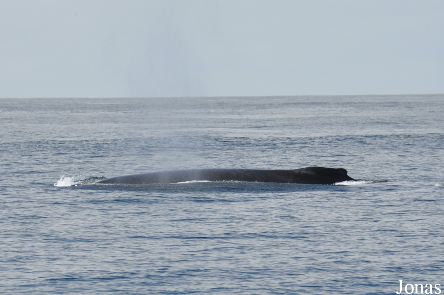 Monterey Bay