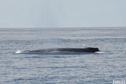 Monterey Bay