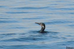 Monterey Bay