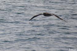 Monterey Bay