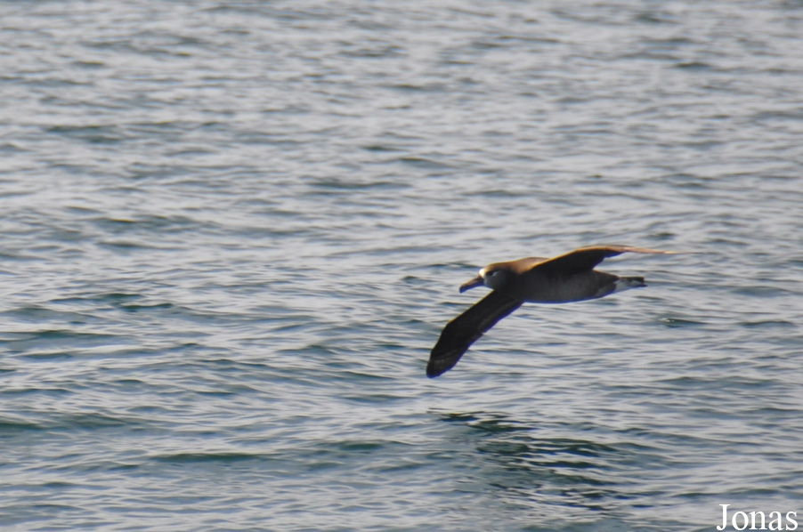 Monterey Bay