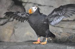 Monterey Bay Aquarium