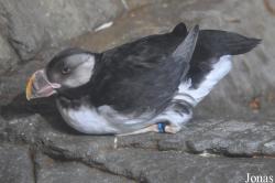 Monterey Bay Aquarium