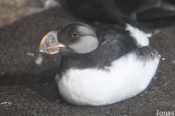 Monterey Bay Aquarium