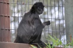 Charles Paddock Zoo