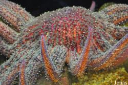 Ty Warner Sea Center