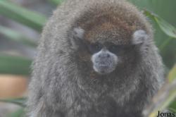 Santa Barbara Zoo