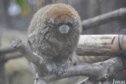 Santa Barbara Zoo