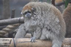 Santa Barbara Zoo