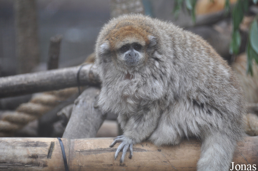 Santa Barbara Zoo