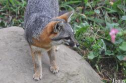 Santa Barbara Zoo