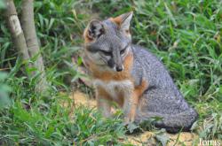 Santa Barbara Zoo