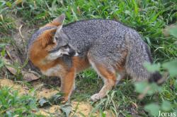 Santa Barbara Zoo