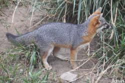 Santa Barbara Zoo