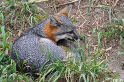 Santa Barbara Zoo