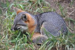 Santa Barbara Zoo