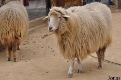 Santa Barbara Zoo