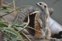 Santa Barbara Zoo