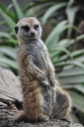 Santa Barbara Zoo