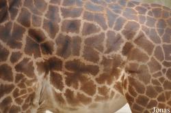 Santa Barbara Zoo