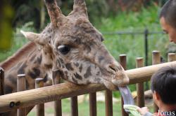 Santa Barbara Zoo