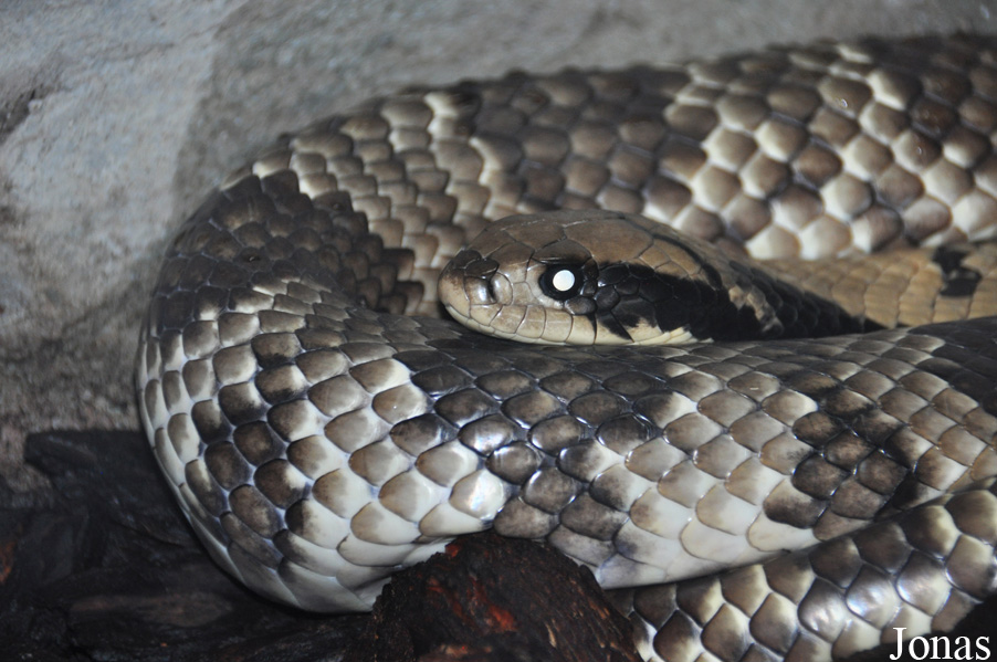 Santa Barbara Zoo