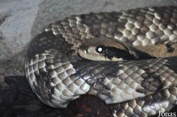 Santa Barbara Zoo