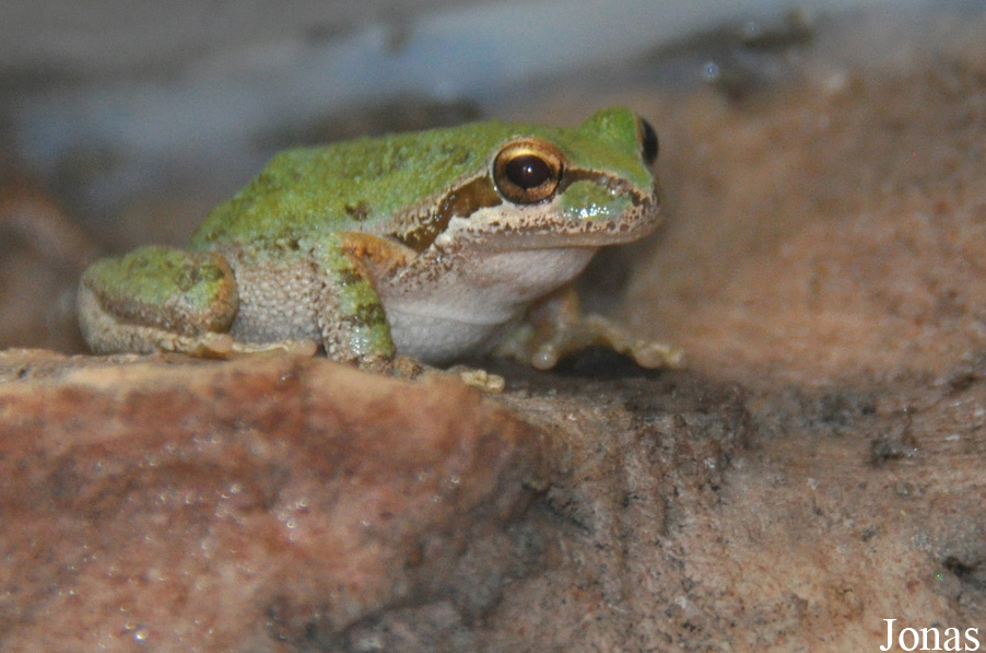 Santa Barbara Zoo