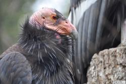 Santa Barbara Zoo