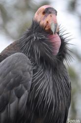 Santa Barbara Zoo