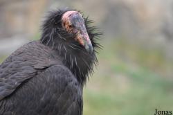 Santa Barbara Zoo