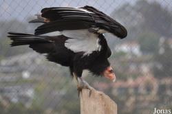 Santa Barbara Zoo