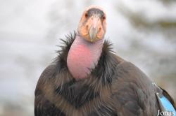 Santa Barbara Zoo