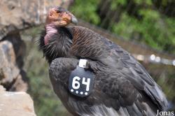 Santa Barbara Zoo
