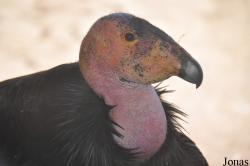 Santa Barbara Zoo