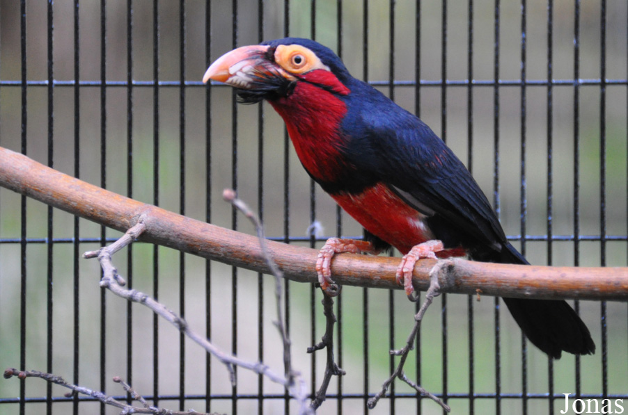 Shadow Hills Zoological Park (P)