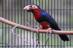 Shadow Hills Zoological Park (P)