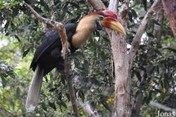 Los Angeles Zoo