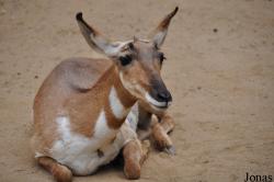Los Angeles Zoo