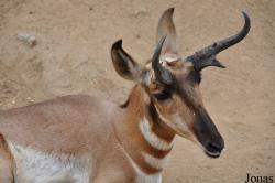 Los Angeles Zoo