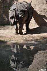 Los Angeles Zoo